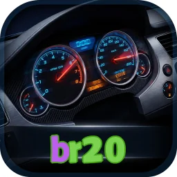 br20
